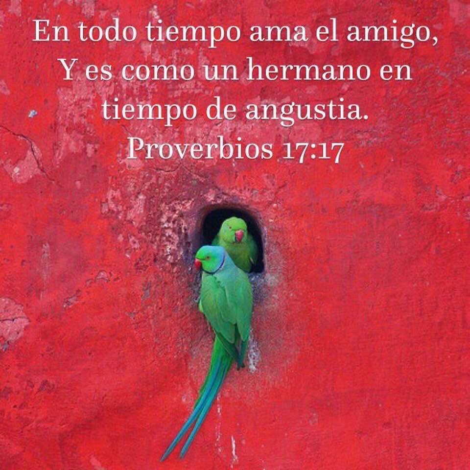 Nallelitorres13 tweet picture