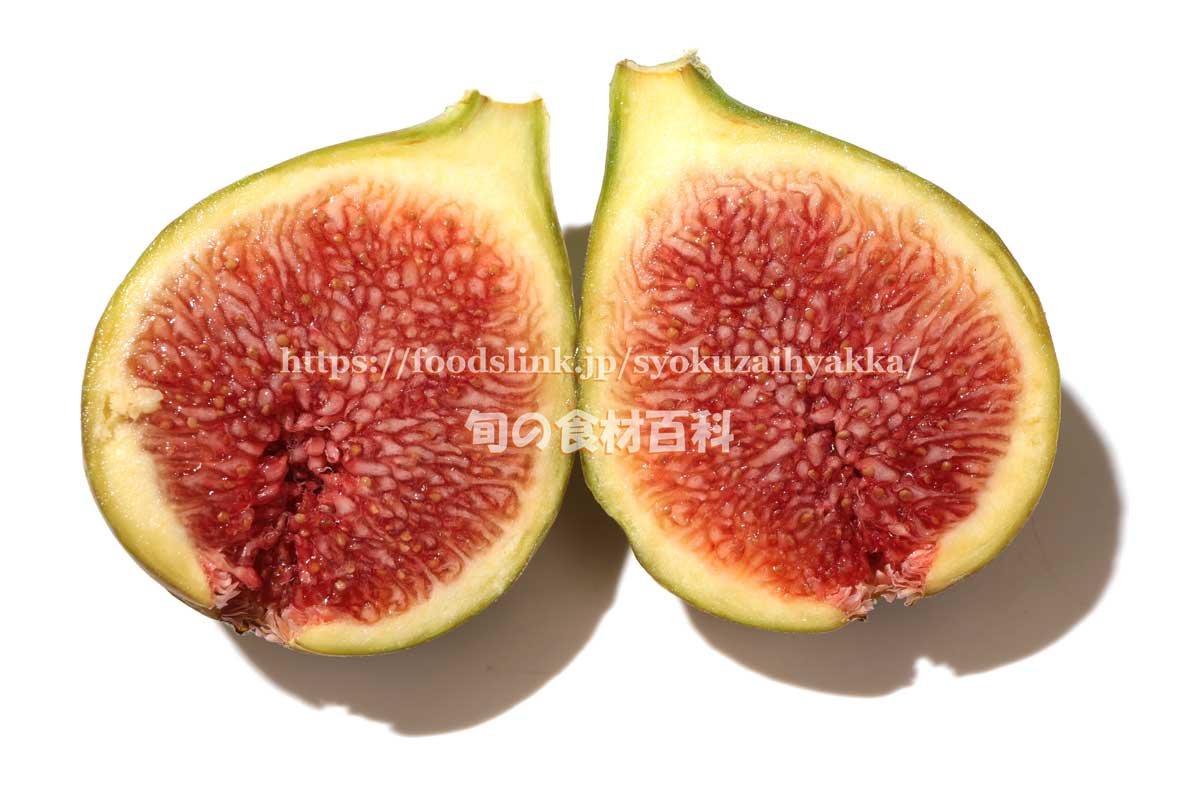 旬の食材百科 白イチジク バナーネ バナーネはフランスから導入された品種で 夏果 は熟しても表皮が赤く色付かず全体に黄緑なのが特徴です 一方秋果は少し茶色く色付き ネットリとした濃厚な甘さが特徴 食材百科に秋果の写真を追加し更新しました 旬の食材百科 白イチジク バナーネ バナーネはフランスから導入された品種で 夏果 は熟しても表皮が赤く色付かず全体に黄緑なのが特徴です 一方秋果は少し茶色く色付き ネットリとした濃厚な甘さが特徴 食材百科に秋果の写真を追加し更新しました