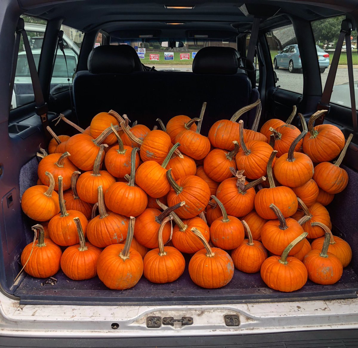 lcdfoodie's tweet photo. A true Farm to School experience. We delivered over 800 pumpkins from Sandy Point Farms to 80 @vbschools today. Let the creativity in the kitchen begin! #vbscratch #farmtoschool #local #vafarms #sandypointfarms https://t.co/42GypqoeV6