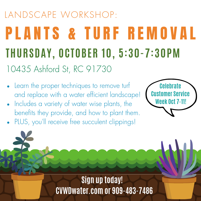 cvwdwater's tweet photo. Hello October! 🍁🍂 If you haven't signed up for the upcoming Landscape Workshop, it's not too late! Register today at https://t.co/gtFBUZ7I58 🙌💦 #CVWDwater #LandscapeWorkshop #WaterWise #Gardening 🌷🌿 https://t.co/1EHohHnF7o