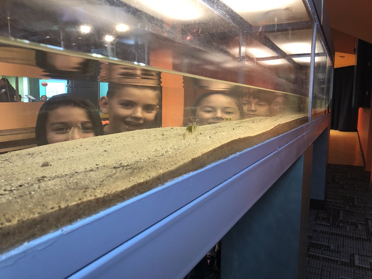 leach_cjusd's tweet image. Today my 2nd graders spend the day at #discoveycube in Aneheim. My students were able to see #forcesinmotion throughout the entire museum. This is the unit in science they are in the middle of. It was a good day