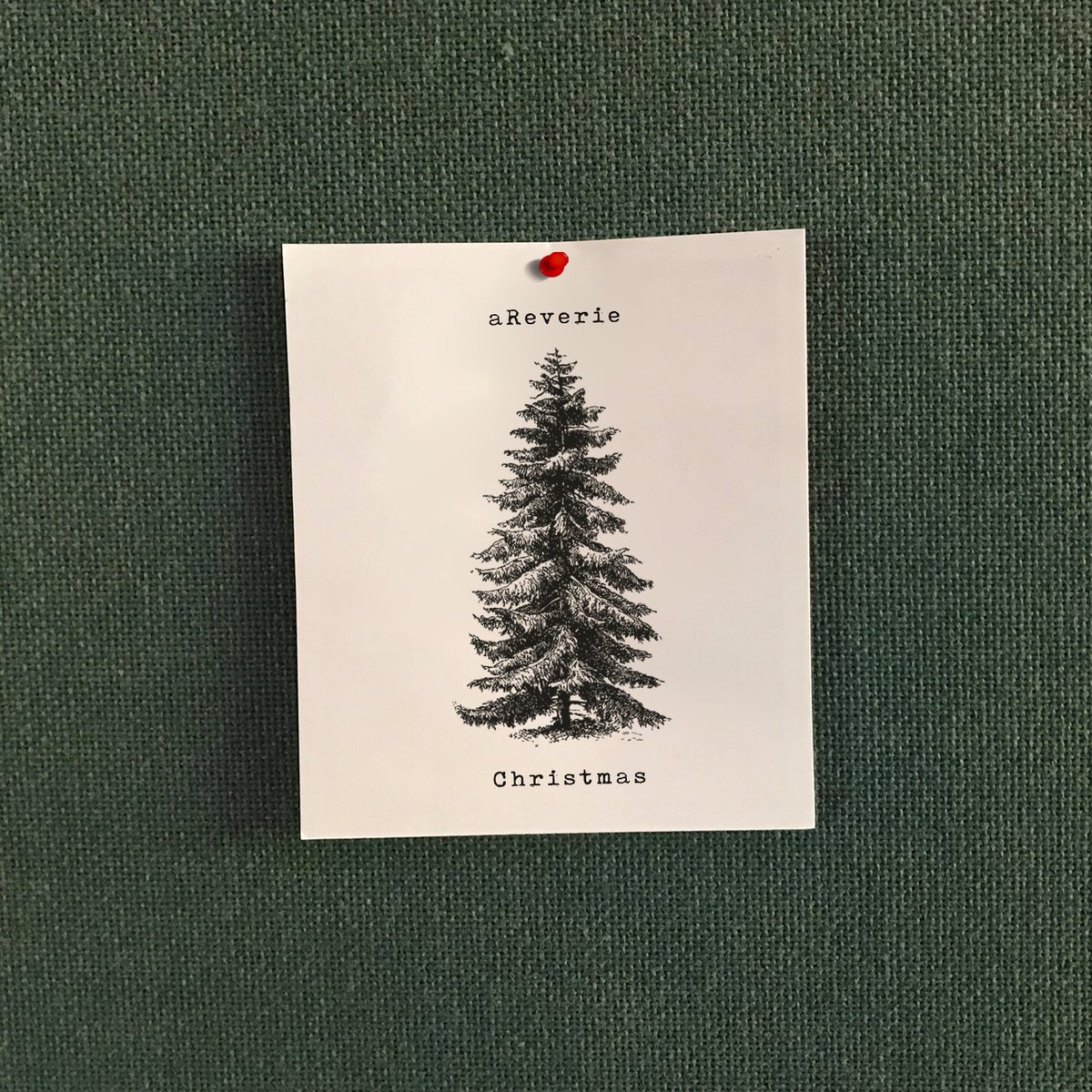 danimalsnyder's tweet photo. 🌲🌲🌲11.1.19 🌲 🌲🌲 https://t.co/tCs67CslEr