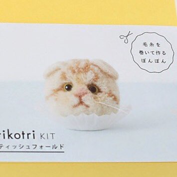 みのり👶🏻🍼 tweet media