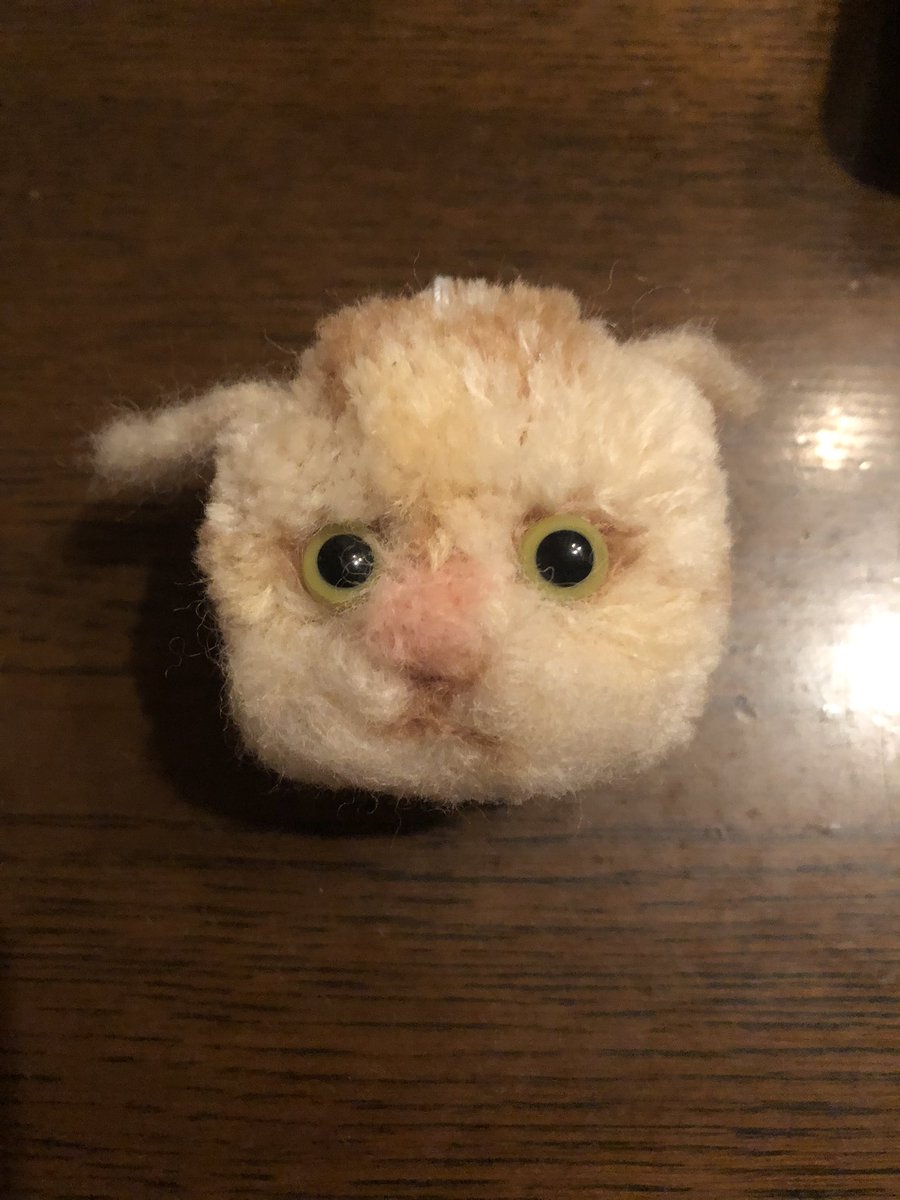 みのり👶🏻🍼 tweet media