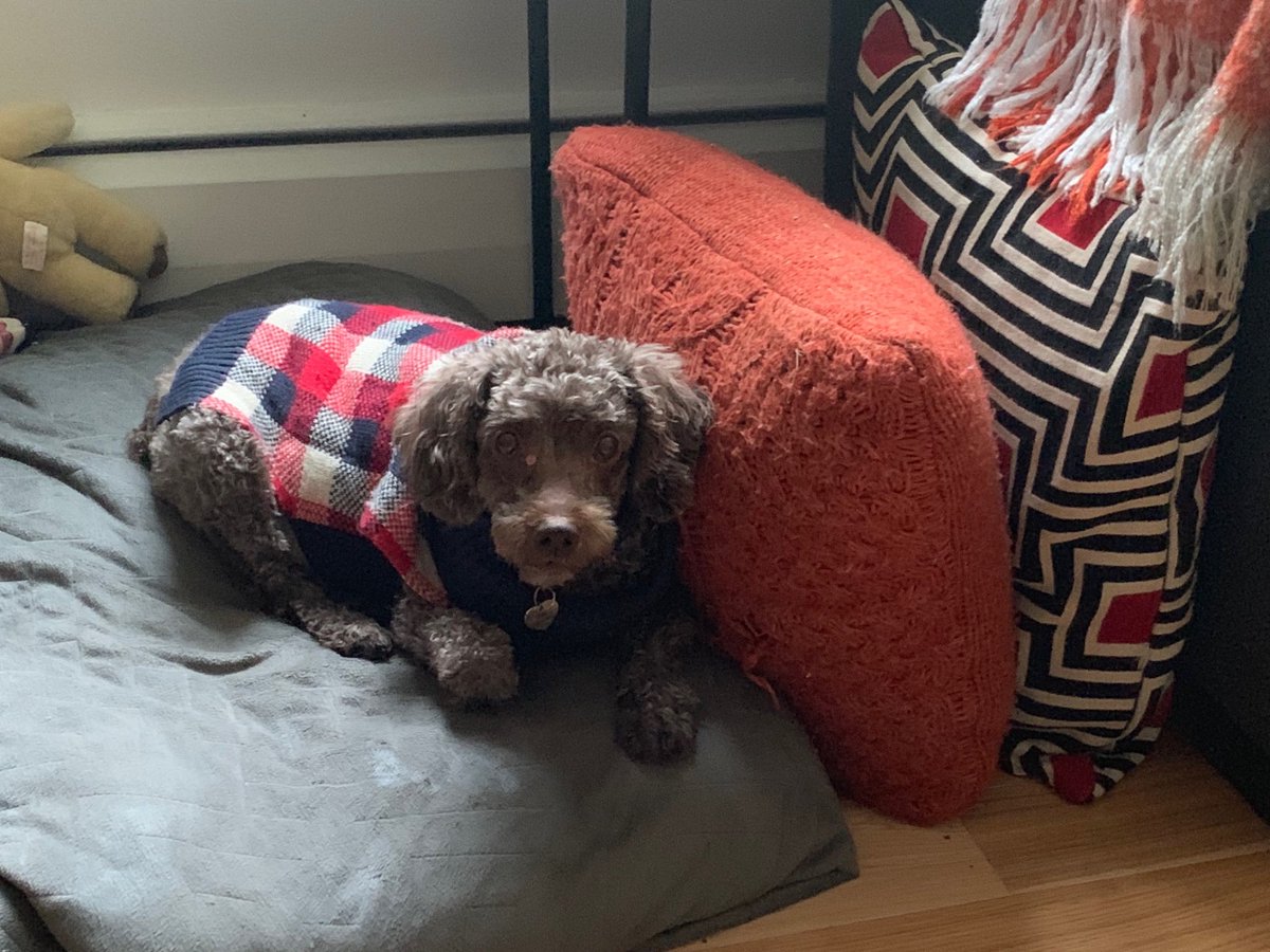 Rebecca Lavoie tweet media