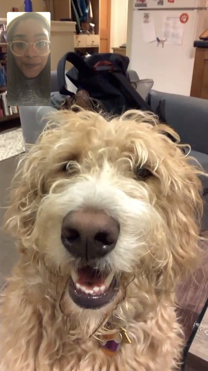 RosyGSpeers's tweet photo. I tell you, we don’t deserve dogs. ❤️ #facetimedate https://t.co/cLDaIuSmB5
