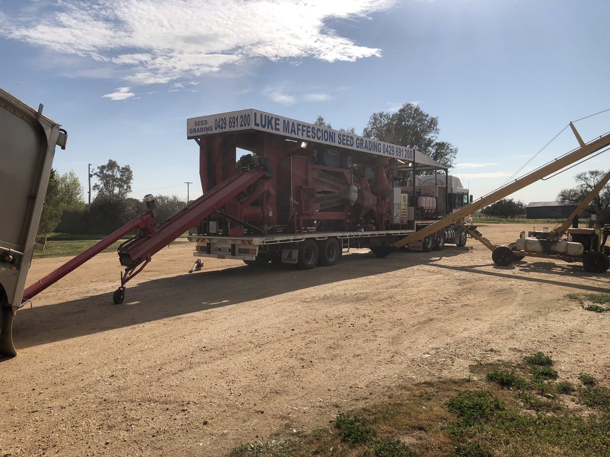 GradingLuke's tweet photo. Grading hay oats for next season https://t.co/b7M5YX4w3m