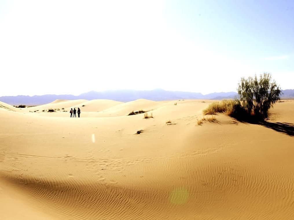 tripindow's tweet photo. Mesr Desert🏜☀️ The #desert is a natural extension of the inner silence of the body.

.
.
.
.
#nature
#trip
#travel
#adventure
#wanderlust 
#travelgram 
#tripindow 
#discover_earth
#iran_tourism
#naturelovers
#mesrdesert https://t.co/82AOdNpiDy