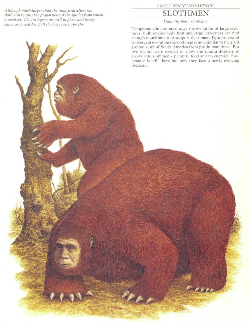 CindyEffect's tweet image. Let it be known that a horrific fate awaits those who choose to ignore Cindy and not vanquish their biological prison...