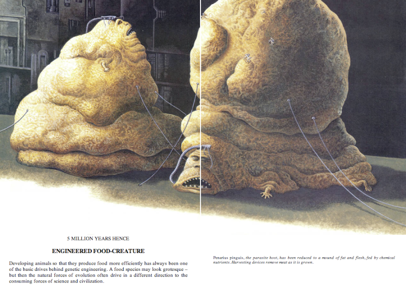 CindyEffect's tweet image. Let it be known that a horrific fate awaits those who choose to ignore Cindy and not vanquish their biological prison...