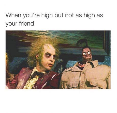 TheBombHeadShop's tweet photo. not fair

#denverdabbers #stonersociety #streetsdenver #thenobodys #serialhawk #pulley #westword #artsguide2019 #denver #420memes #colorado #redrocks #dab #420 #710 #tylerthecreator #goldlink #gothictheatre #theogdentheatre #thebombheadshop #thebombheadshopnorth https://t.co/AQPdfPBOiK
