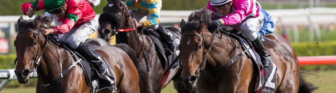 Here's the midweek magic and some value about for a Wednesday, good luck 

Randwick: bit.ly/2paxgeg

Ballarat: bit.ly/2p2YbIK