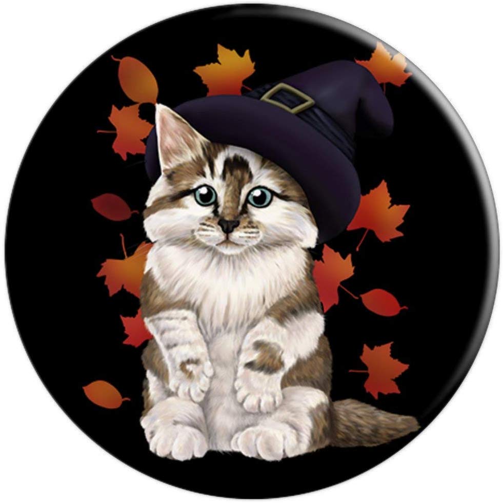 ColorMeCritters's tweet image. Finished uploading witch kitten to Amazon! I hope to have a vampire kitten friend for it later this week. :) amazon.com/s?rh=n%3A71411…

#halloweencat #catart #catshirt #witchcat #catwitch #MehuArt #Halloweenkitten