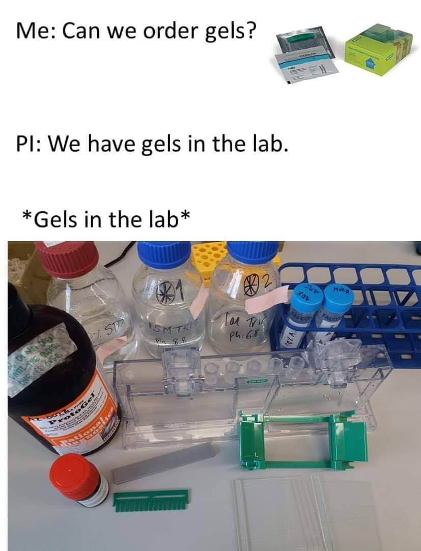 SydNewHorizons's tweet photo. If you're sick of this sort of thing in the lab, bring your PI along to #SydneyNewHorizons to talk to @BioRad about their awesome mini-PROTEAN TGX Precast gels
#SNH19 @BioRadLifeSci https://t.co/cWm24h47fa