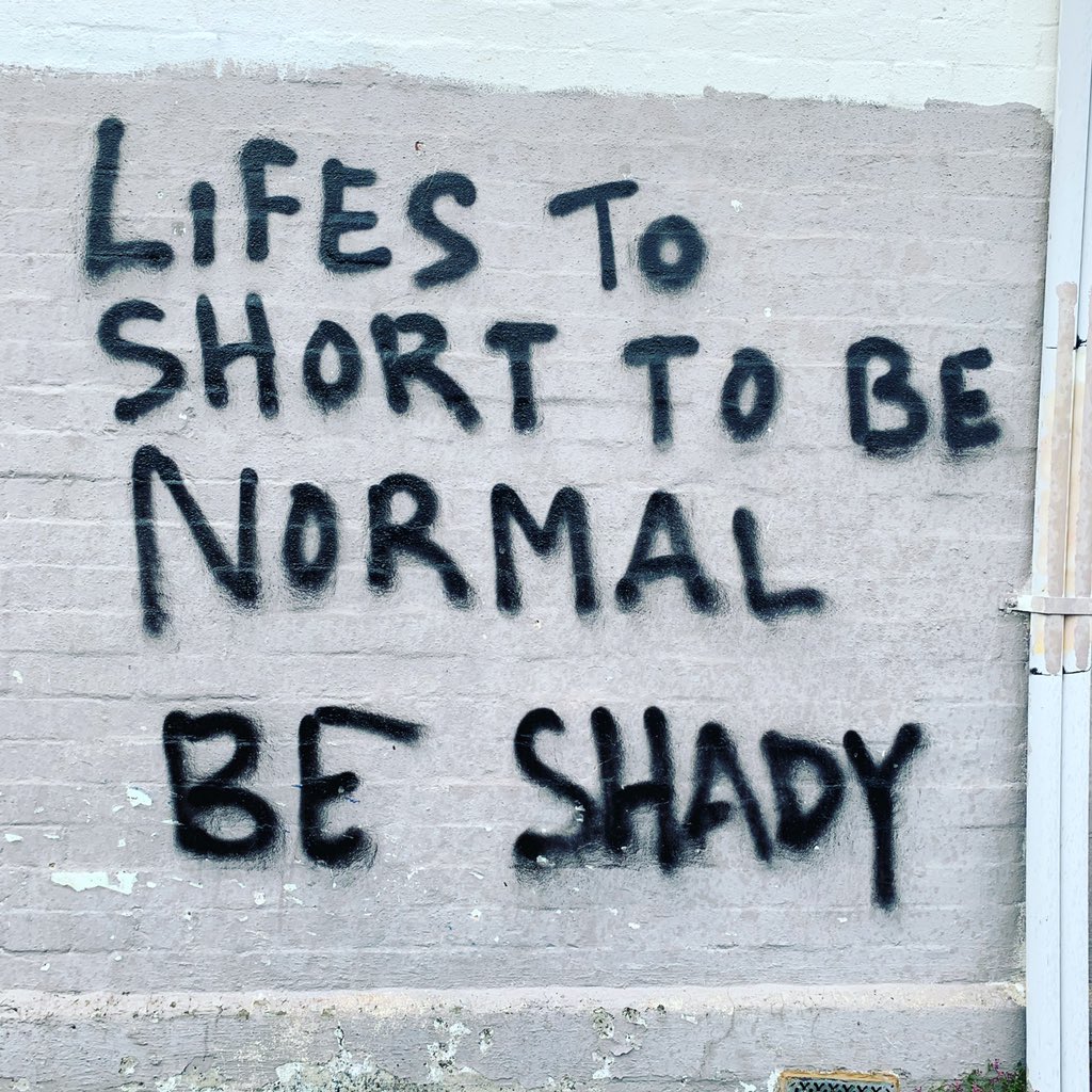 RachelTaulelei's tweet photo. First rate graffiti in Dannevirke #beshady 😂 https://t.co/SUqTwUw6Zi