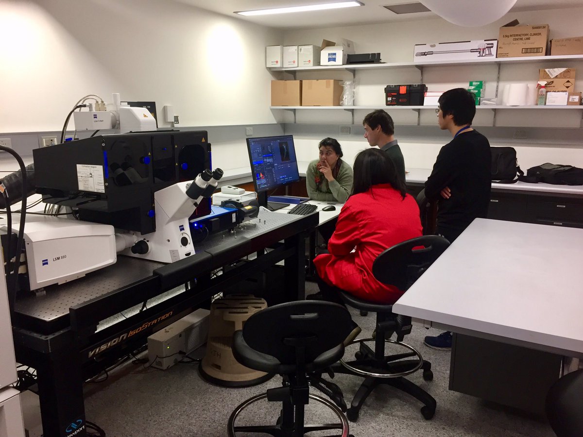 Hamidsollyy's tweet photo. Researchers are discussing #microscopy. 
Second day on #BOMP #Zeiss #LSM880 #Airyscan #Elyra demonstration at #bio21 #unimelb 

#Fluorescence #imaging 
#phdchat 
#scicomm 
#science https://t.co/AZ0kf4phmL