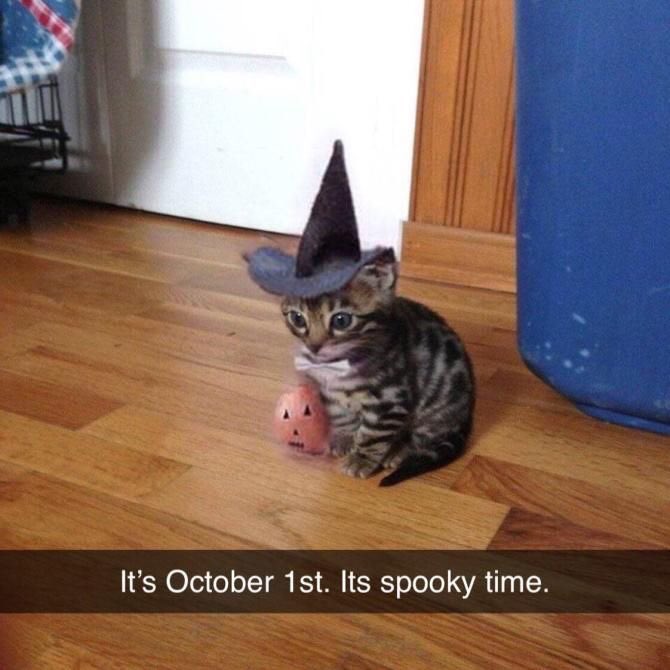 flvsftstuco's tweet photo. Student Council Spooky Day 1/31
#flvsftstuco #spooky
If you have any cute, spooky images to contribute to the account, just let us know. We’d love to feature them. https://t.co/Bclb2GU3Ye