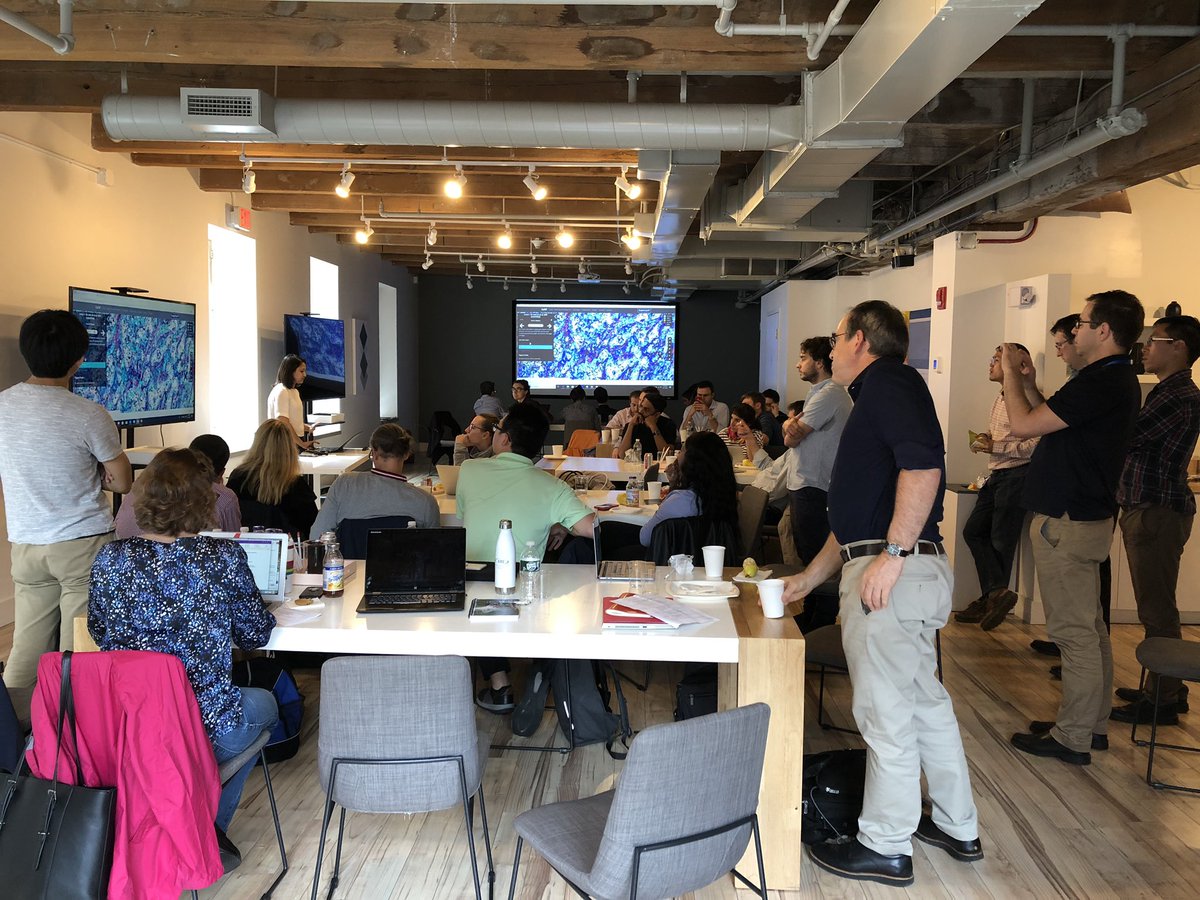 JennGuerriero's tweet photo. So much excitement at the #LSP @harvardmed core #cycif team retreat discussing samples, image acquisition, computational analysis and data visualization. #precisionpathology https://t.co/WD44tjmOd7