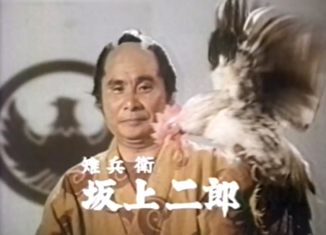 新品ケース 江戸の鷹 御用部屋犯科帖 全10巻 三船敏郎 田中健 田中邦衛 新品ケース 江戸の鷹 御用部屋犯科帖 全10巻 三船敏郎 田中健