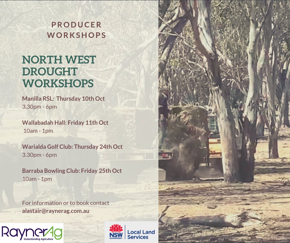 Al Rayner (@alrayner302) on Twitter photo North west drought workshops this month. Please spread the word. I’ll be delivering sessions at Manilla, Wallabadah, Warialda and Barraba. #agchatoz <a href="/NorthWestLLS/">North West LLS</a> North west drought workshops this month. Please spread the word. I’ll be delivering sessions at Manilla, Wallabadah, Warialda and Barraba. #agchatoz <a href="/NorthWestLLS/">North West LLS</a>