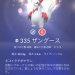 ポケモンgoで ザングース が話題に ポケgo トレンディソーシャルゲームス ポケモンgoで ザングース が話題に ポケgo トレンディソーシャルゲームス