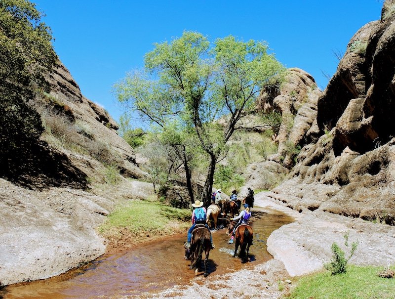 Top50Ranches's tweet photo. Important Fall travel reminder you need to check out ASAP ⇢ https://t.co/6Jt6PzvNQ2 #ranchvacations #fall @TierraChamahua https://t.co/7ttnmss0jT