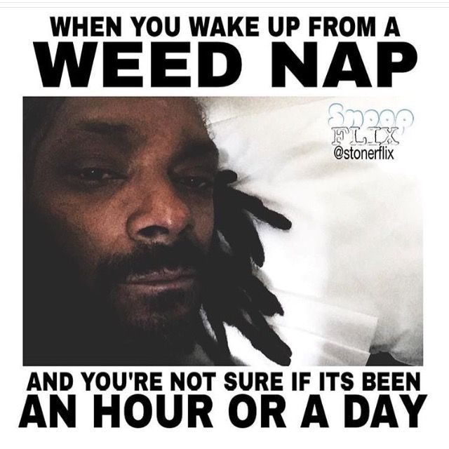 TheBombHeadShop's tweet photo. what did i miss
#denverdabbers #stonersociety #streetsdenver #thenobodys #serialhawk #pulley #westword #artsguide2019 #denver #420memes #colorado #redrocks #dab #420 #710 #tylerthecreator #goldlink #gothictheatre #theogdentheatre #thebombheadshop #thebombheadshopnorth https://t.co/wI5WlfZ7U5