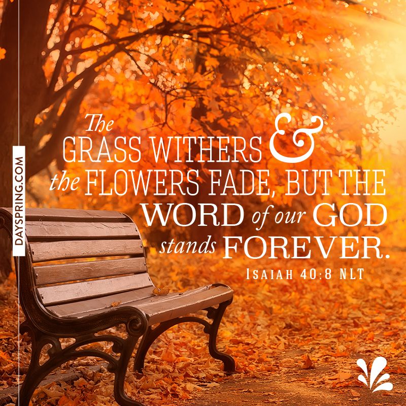 7MChurch's tweet photo. https://t.co/sRCLbrPJAK