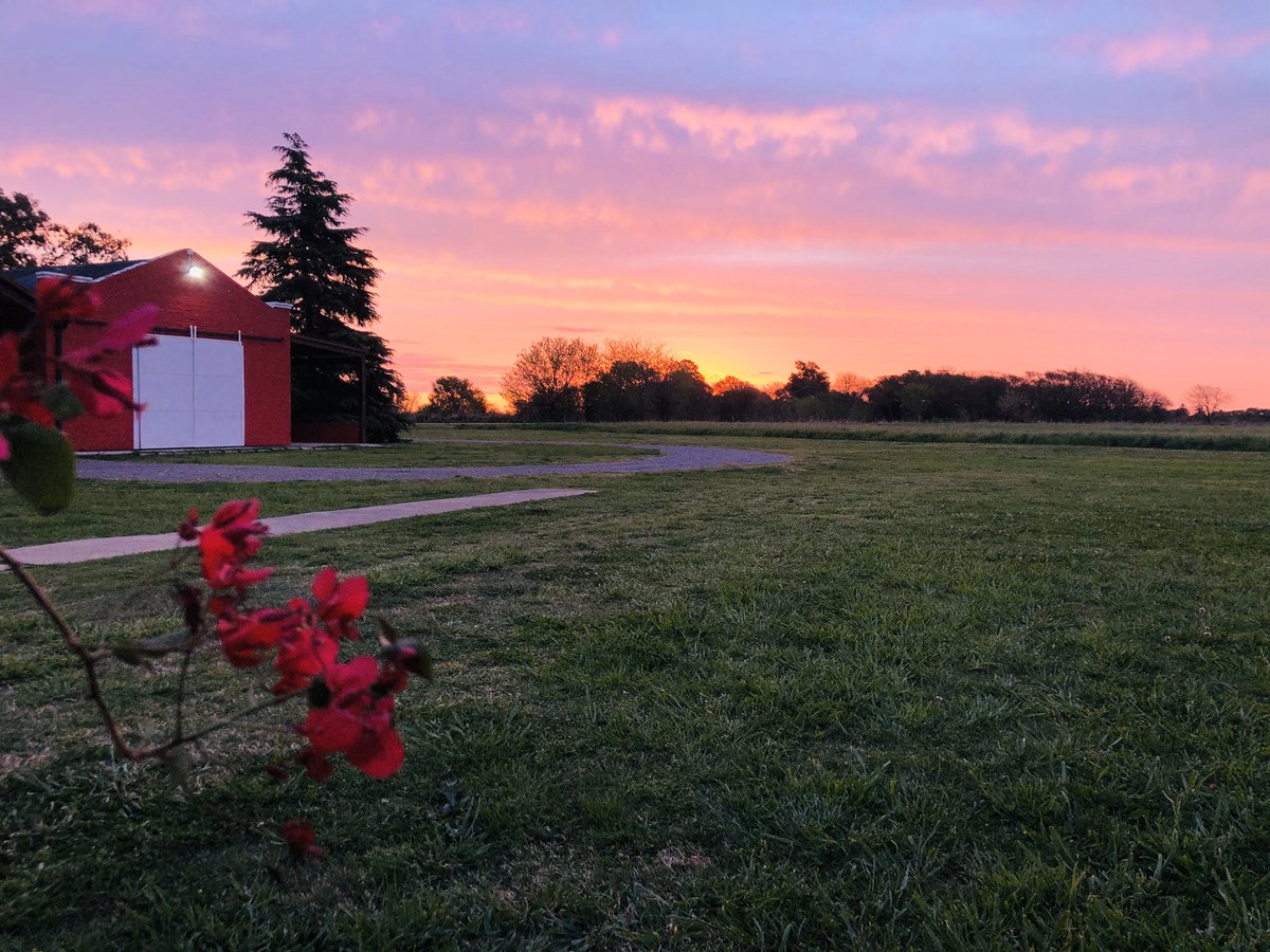 agrolarus's tweet photo. Atardecer de hoy... sin palabras, solo paz 🤗😍 https://t.co/Egvhci2ggE