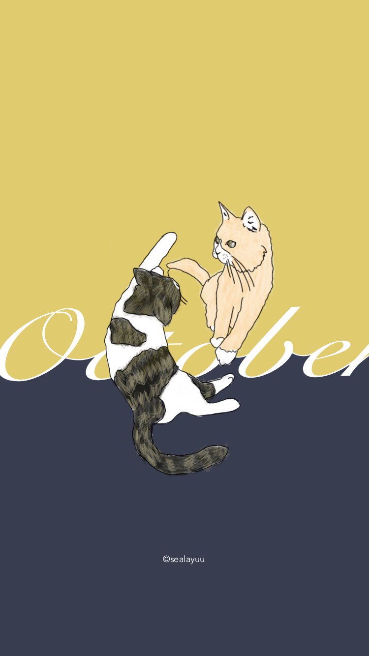 Sealayuu しらいゆ Iphoneの壁紙にどうぞ 10月 October 猫イラスト T Co 6gc3fbvxfc Twitter