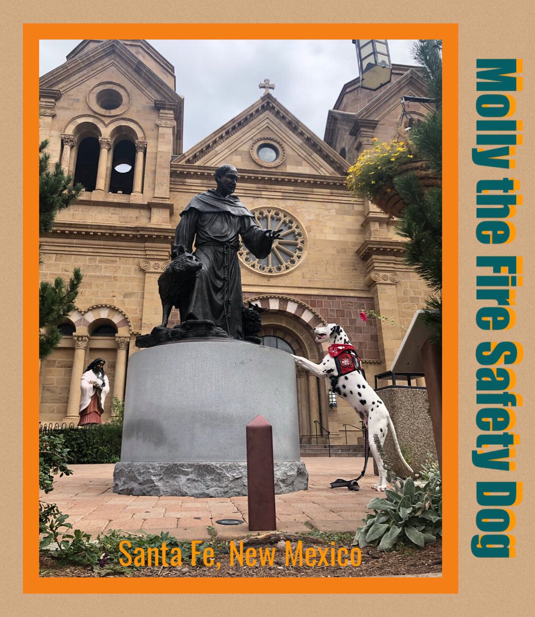firesafetydogs's tweet photo. Goodnight from Santa Fe, New Mexico! #mollysroadtrip #savinglives #firesafetydog #firehousedog #firesafetydogs #firedog #nonprofit #santafe #newmexico #californiaorbust https://t.co/s81BmQIRR9