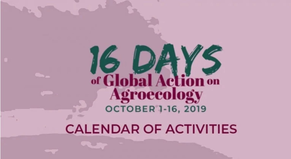 So many exciting things happening across the globe as #YouthMarchOn for #AgroecologyNow! Check out the calendar of activities for the #16DaysOfGlobalAction on #Agroecology!😊bit.ly/2mNXMcD