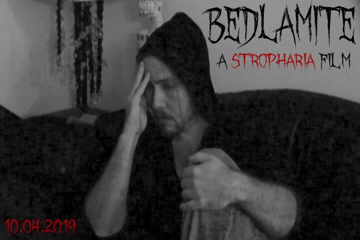 StrophariaProd's tweet photo. Bedlamite Premiere Friday October 4th at 7pm!
#Bedlamite #SupportIndieFilm #horror #indiefilms #October #Premiere
https://t.co/bWfTjv1C8i https://t.co/iMnDwuobI2
