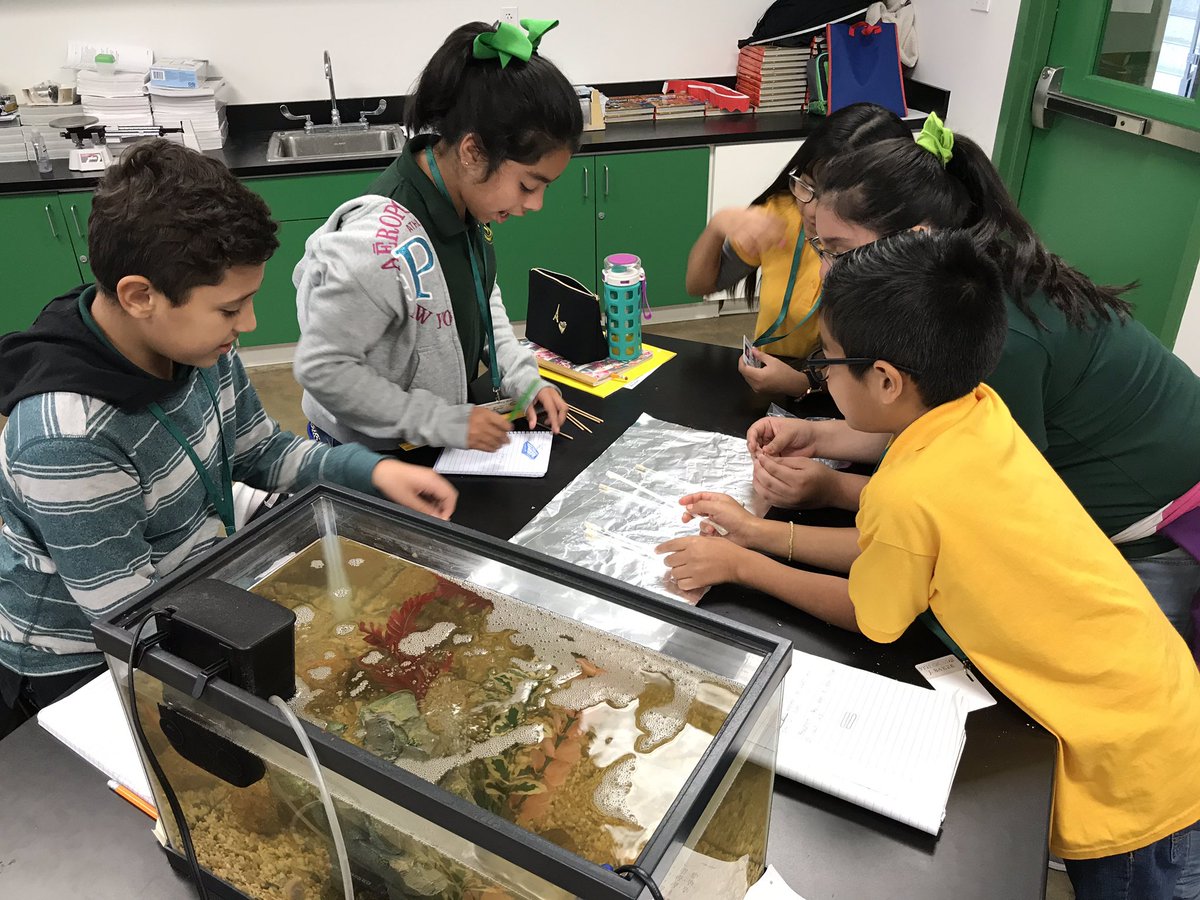 JKBaker_15's tweet photo. Today in science we built barges with the goal of seeing which group’s could hold the most weight to demonstrate how mass and volume affect density and buoyancy! @JamesBerryES @HoustonISD #NorthLightsTheWay https://t.co/2wUJJHxXFl