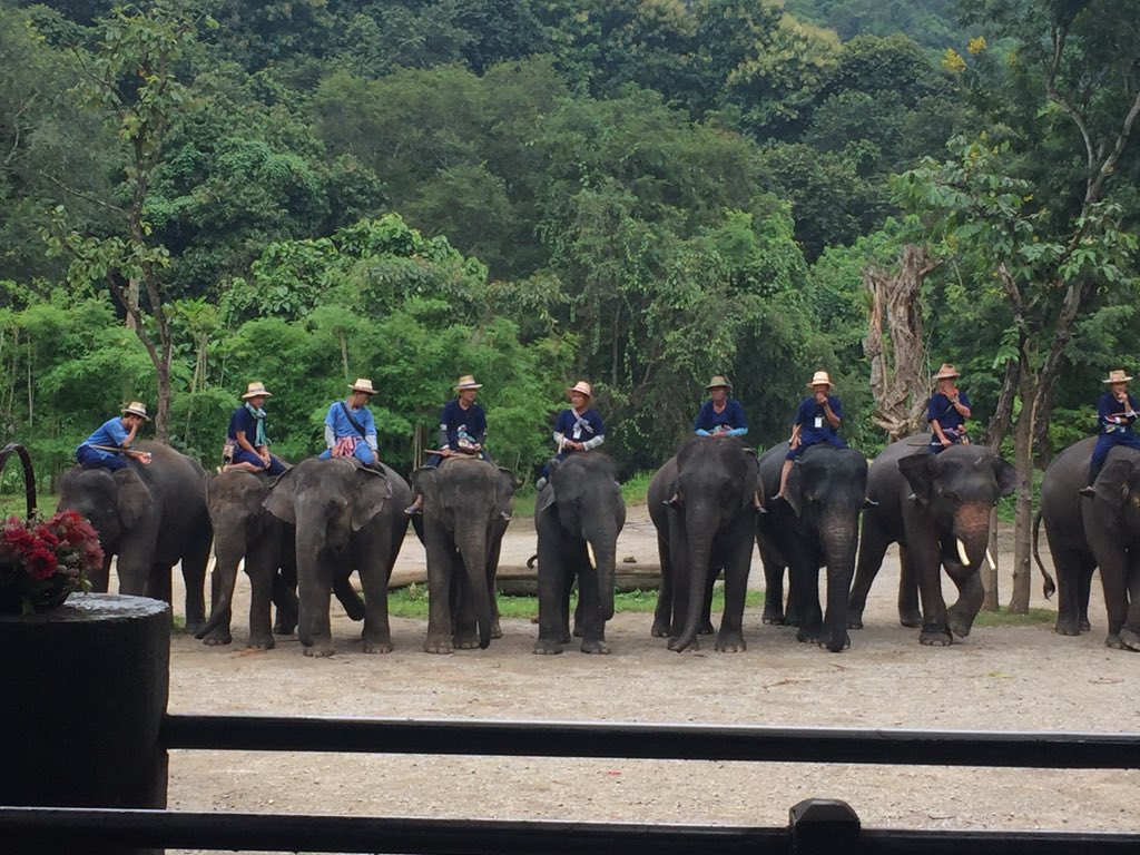 VollmerJason's tweet photo. It’s absolutely beautiful here in Thailand. https://t.co/hYSv5e0SpT