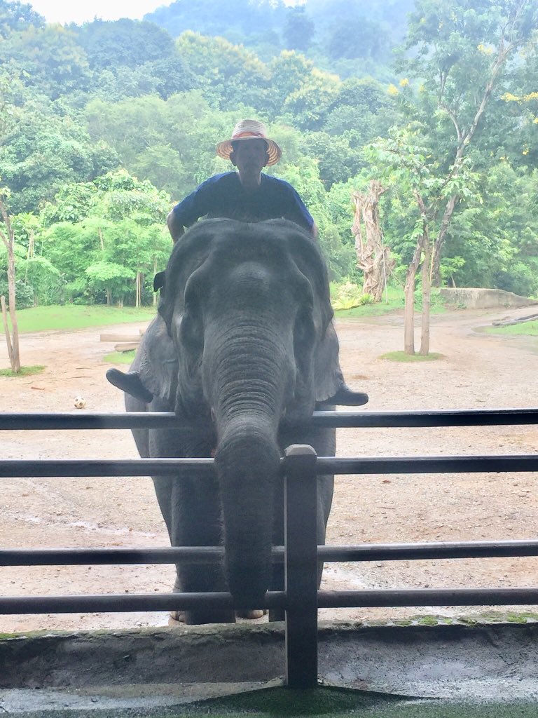 VollmerJason's tweet photo. It’s absolutely beautiful here in Thailand. https://t.co/hYSv5e0SpT