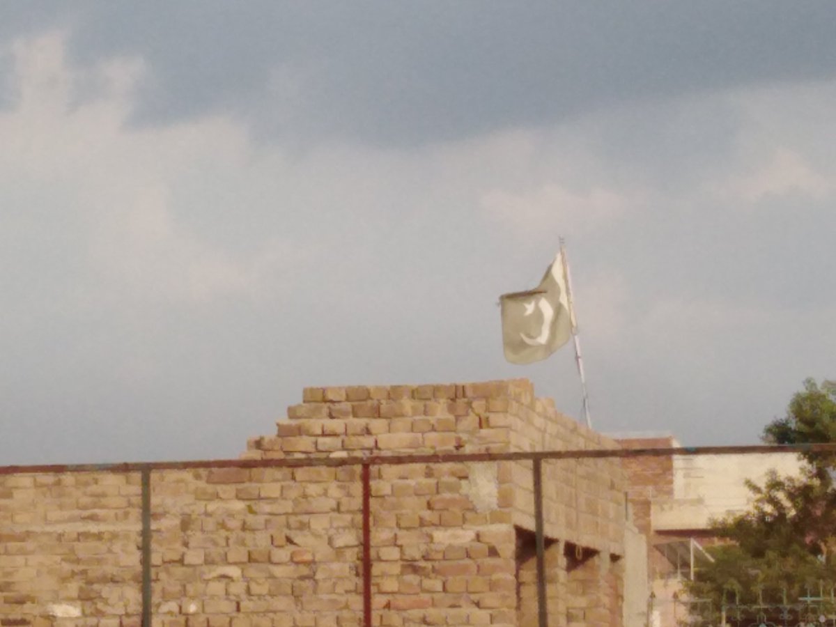 AliMuhammadReal tweet picture