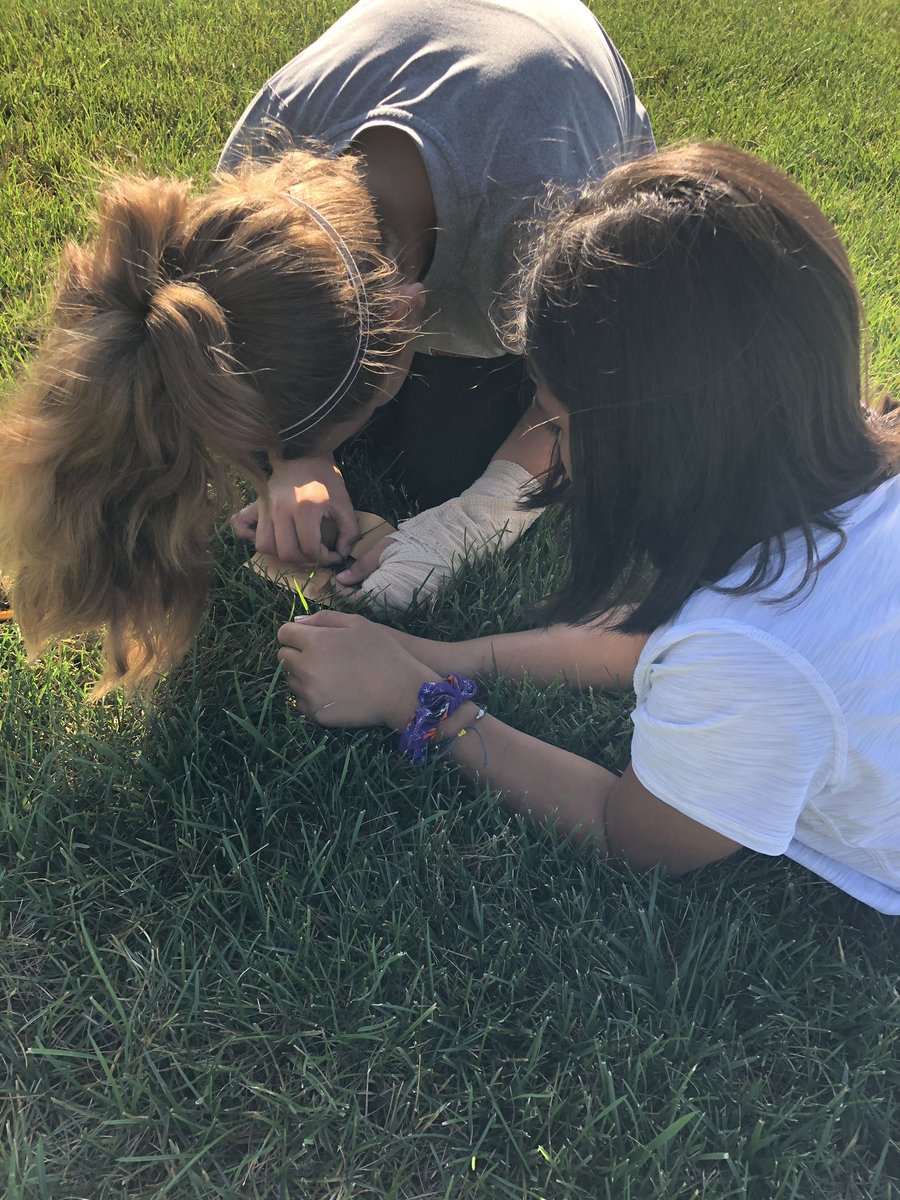 Brandy Reinhardt tweet media