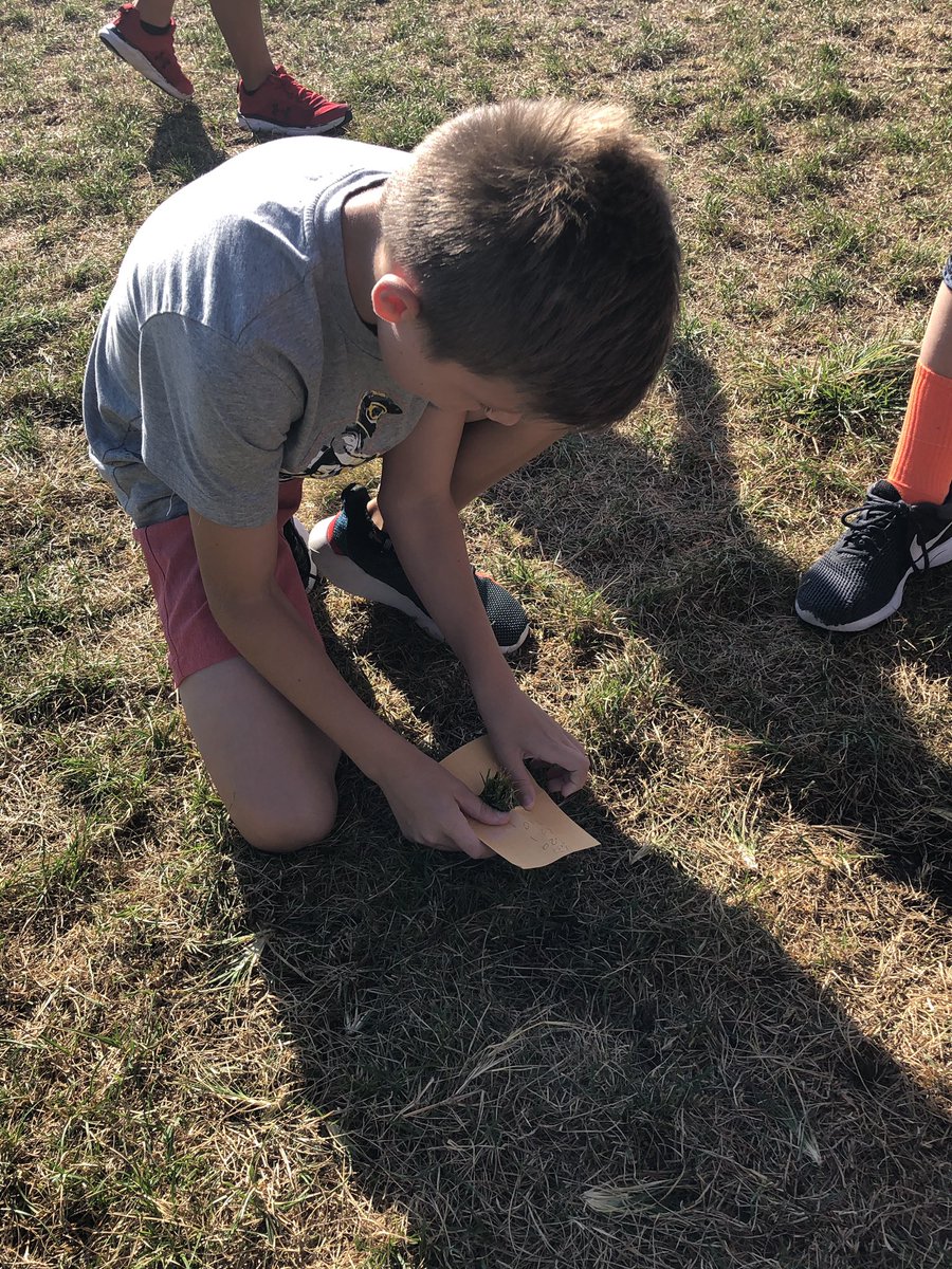 Brandy Reinhardt tweet media