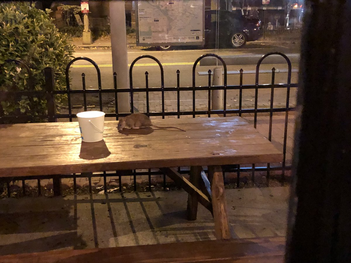 Holly Villamagna tweet media