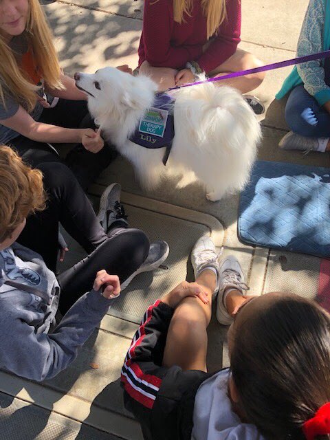 PleasantonMidd1's tweet photo. Our Pride (flex) time this week included some furry โtherapyโ friends for students to work out their stress. #PantherPride #ByNameByNeed #AtutorialForEveryone @PleasantonUSD https://t.co/ztAYKolsNP