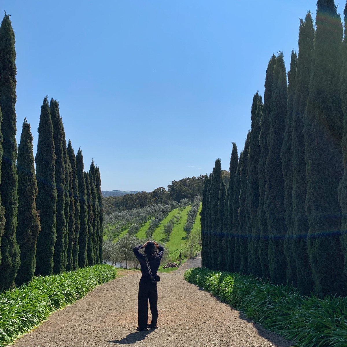 장럭키 tweet media