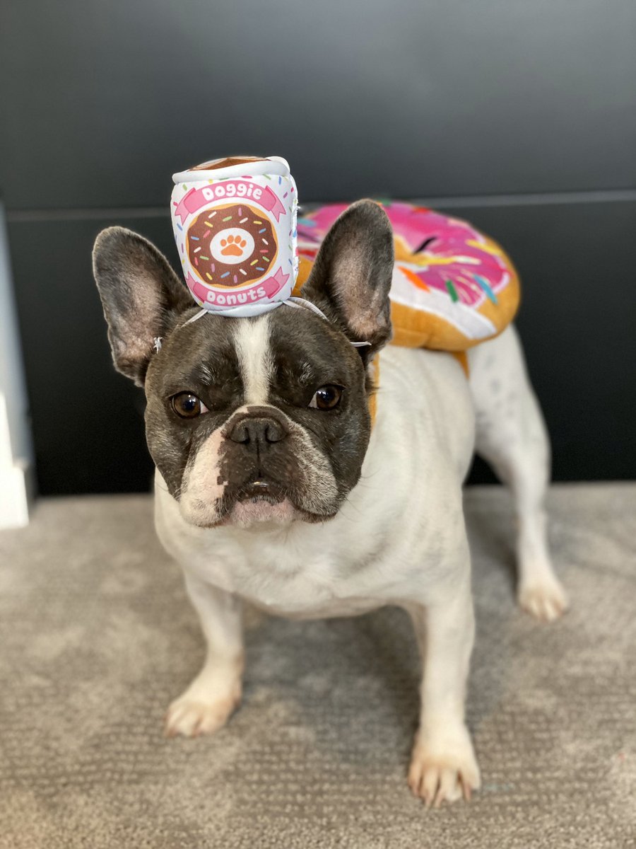 We kicked off our 31 Days of Howl-o-ween costumes. Today, it was all about the donuts. 🍩 #Halloween #howloween #donut