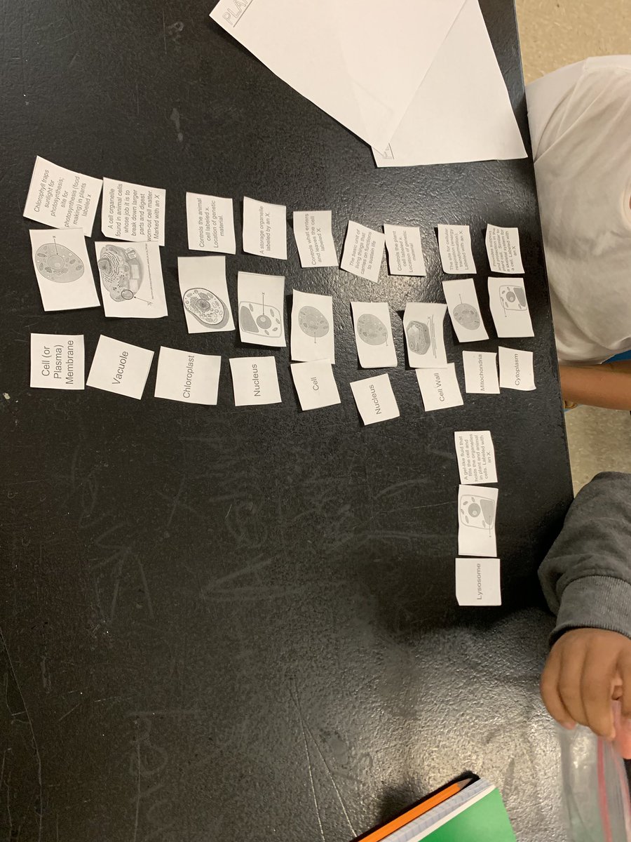 MsMLopez4's tweet photo. Students reviewing cells unit! Card sort was something fun and new way to review!! All students participating was great and engaging!! #theFalconway #kruegerms #theneisdway #falconsrise https://t.co/l9DNOHzpzi