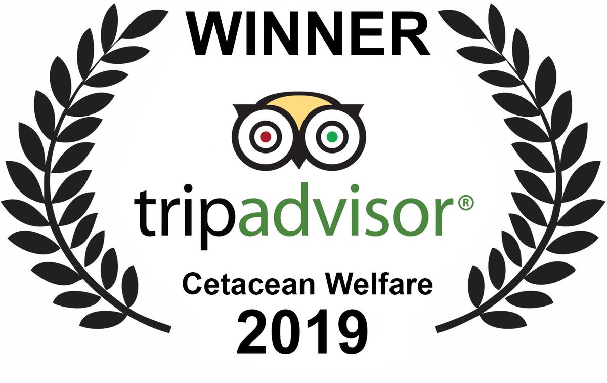 FANTASTIC BREAKING NEWS: TripAdvisor stops selling tickets to Loro Parque &amp; SeaWorld: facebook.com/freemorgan.org…