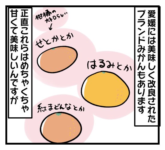 愛媛県出身が語る、みかんの食べ方。(2/2)

ブログではもう少し詳しく書いてます!(たぶん)

↓↓↓

https://t.co/xhSPCEtLCL 