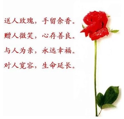 skylacesch's tweet photo. https://t.co/uWi9sO9jvd https://t.co/1rYghW7UId