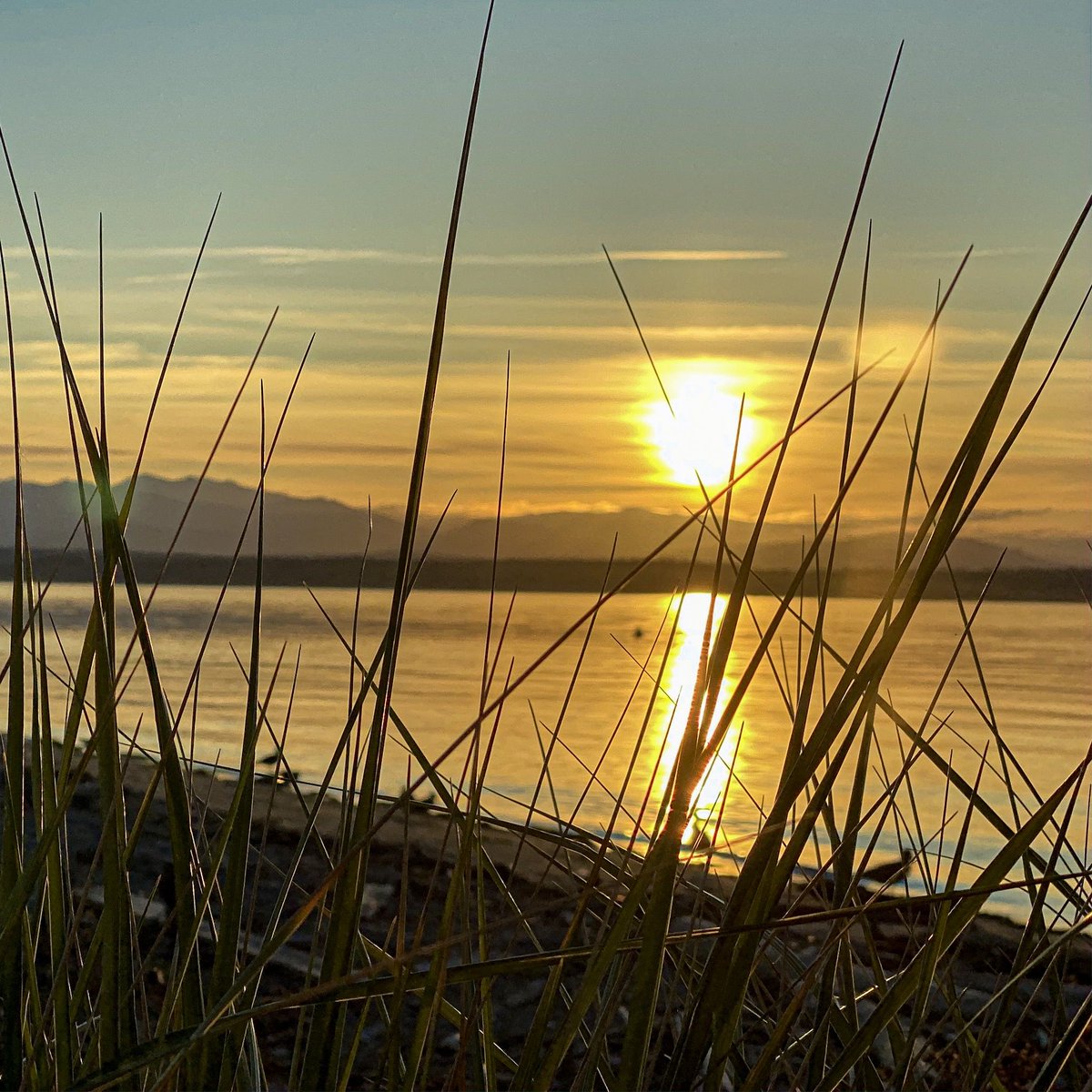 GoWhidbeyCamano's tweet photo. The fun thing about being on an island is that you get to be a new version of yourself, leaving the old you on the mainland.m https://t.co/mpeaiVVOe9 #Nature,#DriveOffTheMainland,#WeekendGetaway https://t.co/vFBFcMPmzm