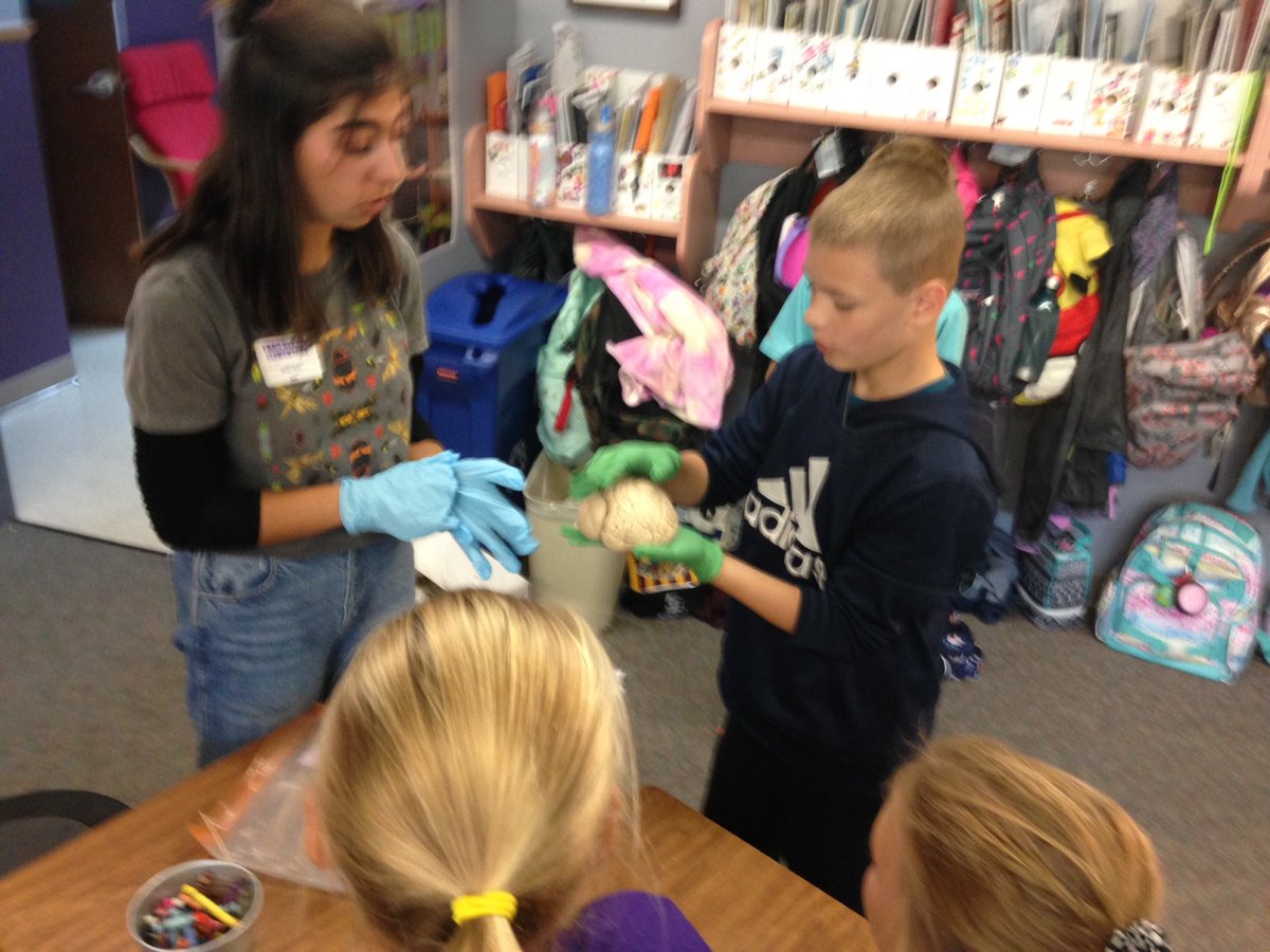 KenPfeil1's tweet photo. Students @TrailblazerD11 getting brainy (with real brains).  Thank you for the learning, Colorado College! https://t.co/3gDkejd6Fw