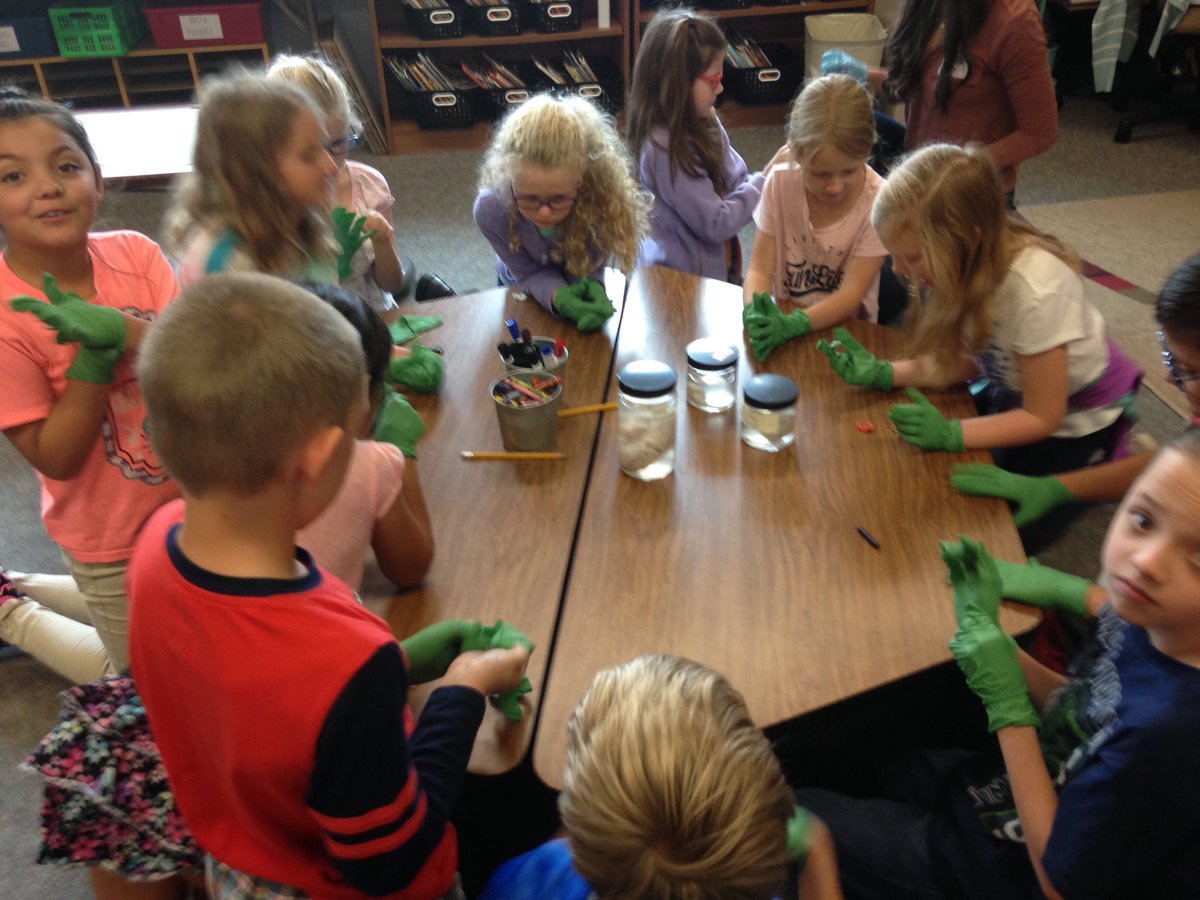 KenPfeil1's tweet photo. Students @TrailblazerD11 getting brainy (with real brains).  Thank you for the learning, Colorado College! https://t.co/3gDkejd6Fw